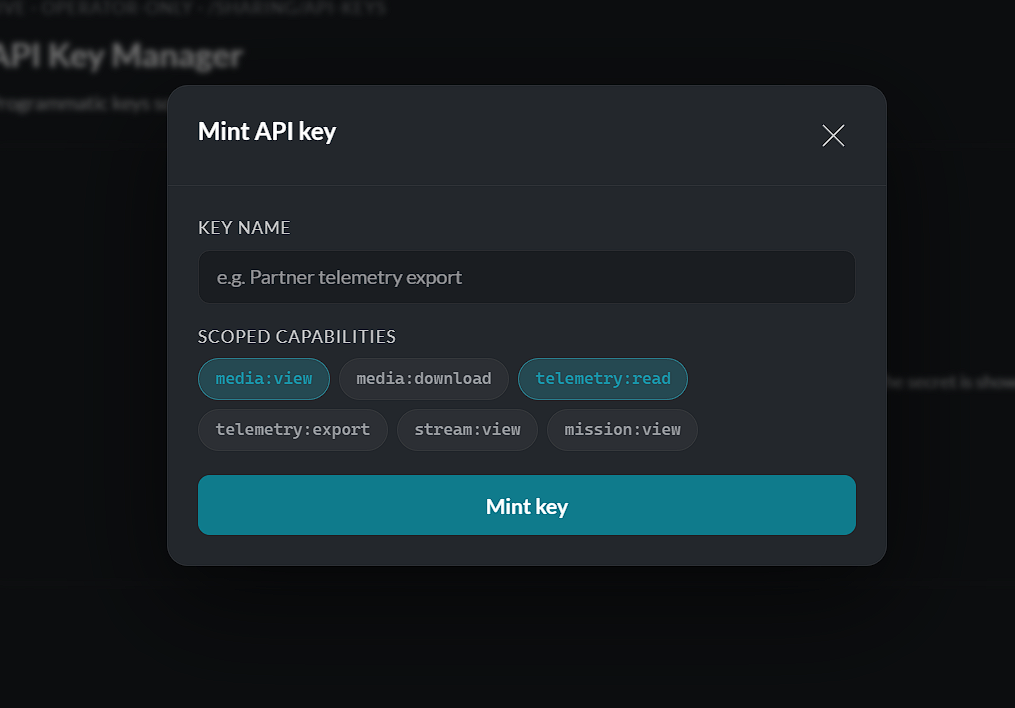API mint modal